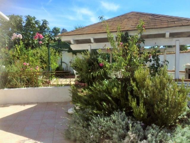 Appartement 3 Chambres Proche Mer Entre Palavas Les Flots Et Frontignan Plage Dans Maison Avec Jardin Villeneuve-les-Maguelonne Exterior photo